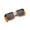 Metal hinge  Acetate leopard-print bevelled sunglasses