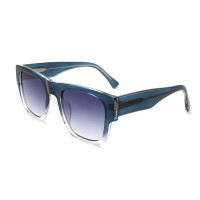 Women PC Frame cp Injection Temple Sun Glasses Frames