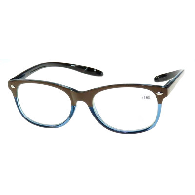 2024New Reasun CHEAP plastic  oral Reading Glasses with metal spring hinge Support customization