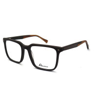 2024 New Stylish Trend Acetate Eyeglasses Frame with Carbon fiber foot silk