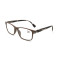FDA CE Custom Plastic Reading Glasses with Metal Spring Hing