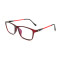New arrival PC Optical Frame with cp temple tip