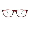 New arrival PC Optical Frame with cp temple tip
