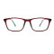 New arrival PC Optical Frame with cp temple tip