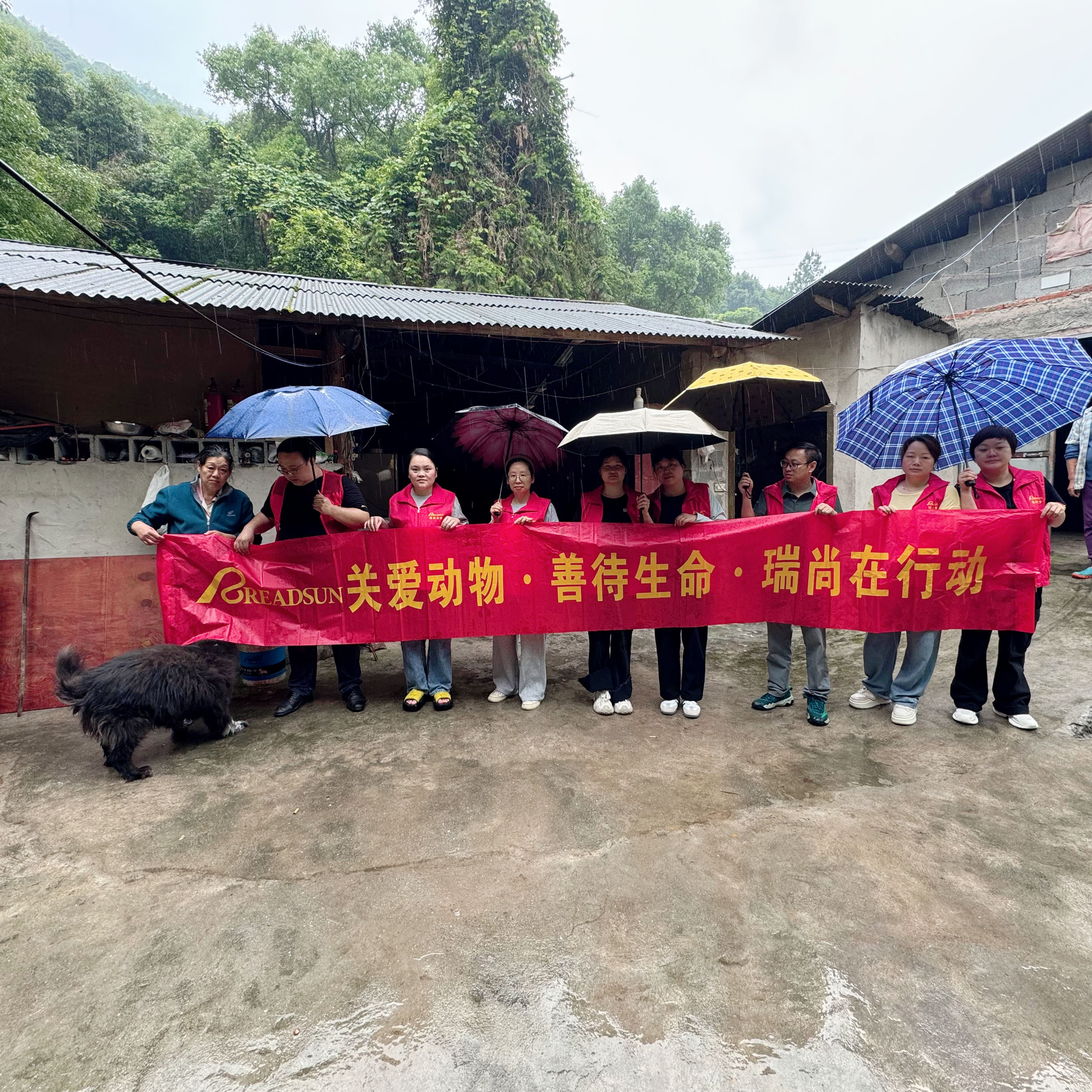 READSUN Optical Spreads Love: Charity Event to Support Local Stray Dog Shelter