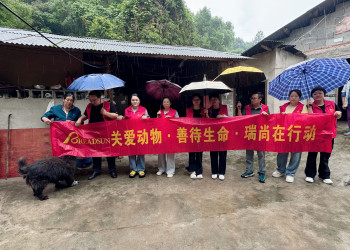 READSUN Optical Spreads Love: Charity Event to Support Local Stray Dog Shelter