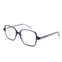 Wholesale 2023 New Adult Acetate Injection Optical Frame With Metal Spring Hinge