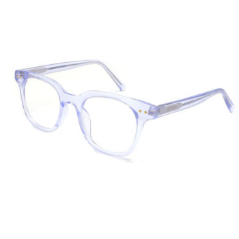 Wholesale 2024 New Adult Acetate Injection Optical Frame With Metal Spring Hinge Transparent Color Series