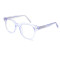 Wholesale 2024 New Adult Acetate Injection Optical Frame With Metal Spring Hinge Transparent Color Series