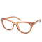PC fashion flurence reading glasses with plastic spring hinge Support customization