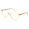Women's Transparent Pattern Wire Core Acetate Optical Frames