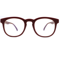 Popular Design Round Plastic Frames Anti Blue Light Reading Glasses