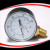 Bottom connection general pressure gauge EPG221V