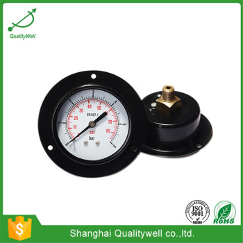 Front flange mounted general pressure gauge EPG221DHF
