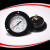 Front flange mounted general pressure gauge EPG221DHF