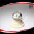 Tridicators-boiler gauge WHT-12SS