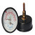 Tridicators-boiler gauge WHT-12S