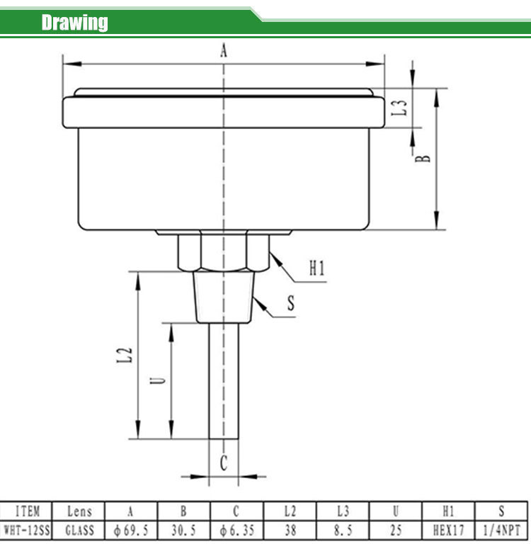 Tridicators-boiler gauge WHT-12SS