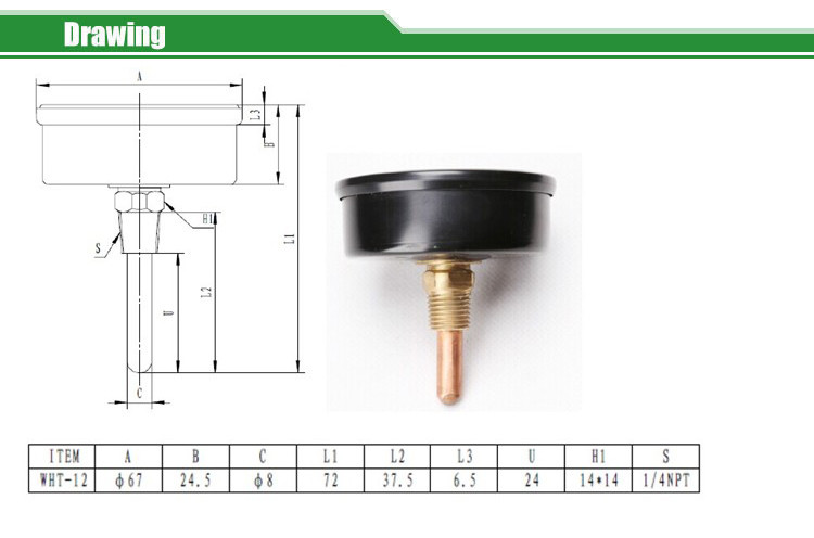 Tridicators-boiler gauge WHT-12S