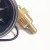 Water temperature remote reading thermometer WT285