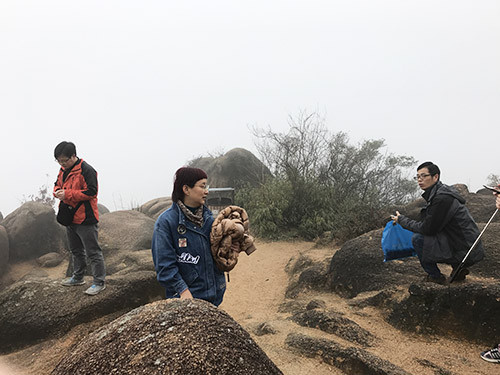 Shanghai Qualitywell organized the climbing of Tianping hill 