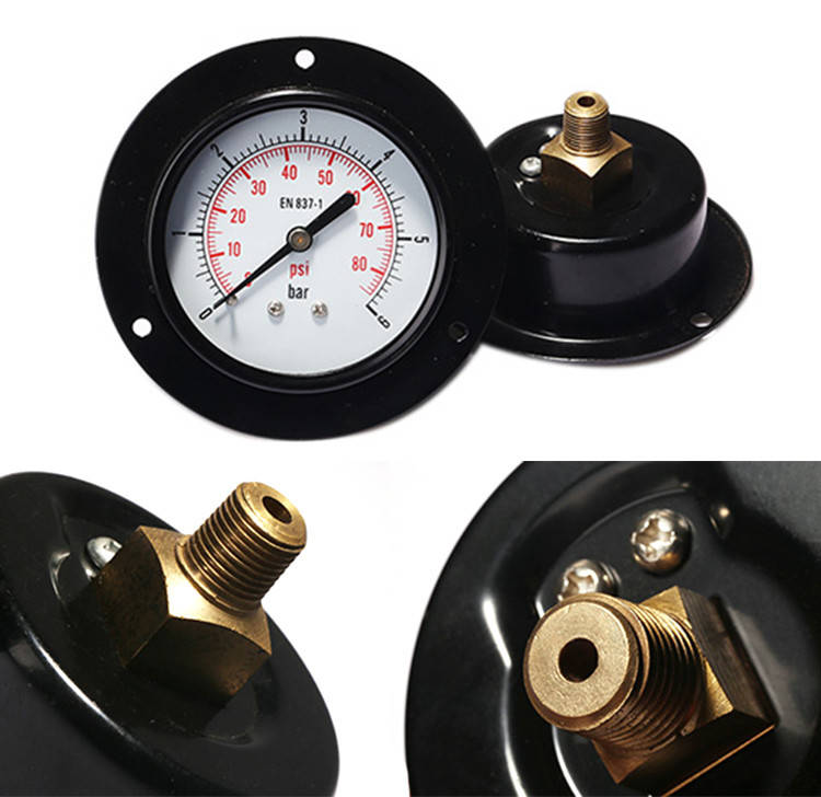 Front flange mounted general pressure gauge EPG221DHF