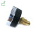 Tridicators-boiler gauge WHT-19