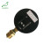 Tridicators-boiler gauge WHT-20