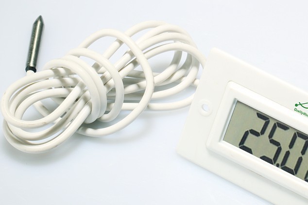 Electronic Thermometer