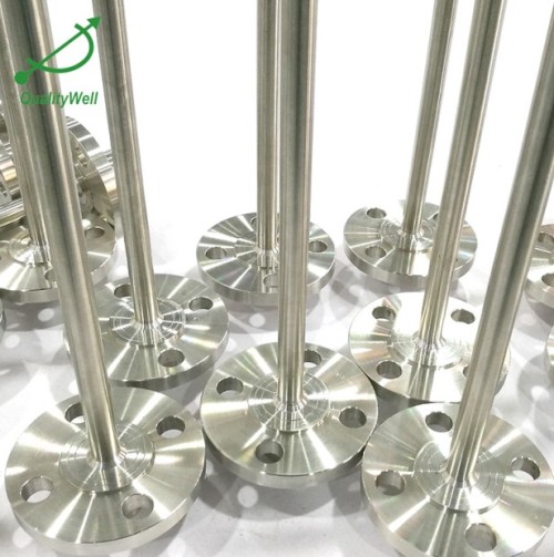 Drilled Stainless Steel Flange Thermowell QWFTWS