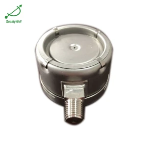 Pressure gauge with explosion-proof plate PGVAE