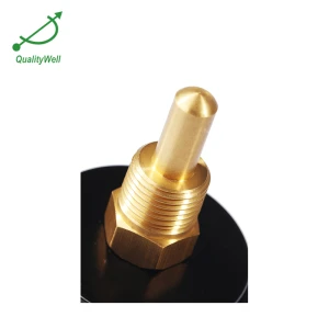 Back connection hot water bimetal thermometer H221C