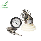 2“ back connection remote reading thermometer with top flange 200RF21121