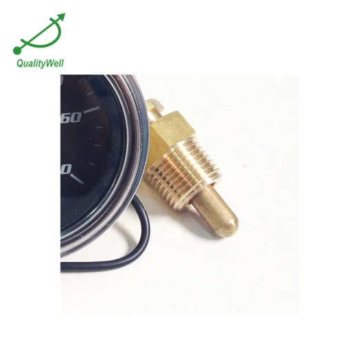 Water temperature remote reading thermometer WT285