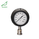Process pressure gauge PG421OV