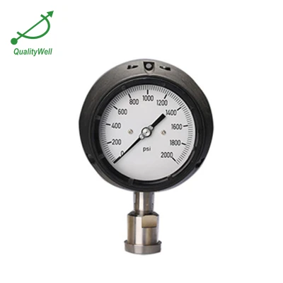 Process pressure gauge PG421OV