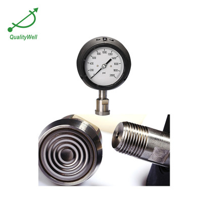 Process pressure gauge PG421OV