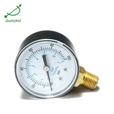 Bottom connection general pressure gauge EPG221V