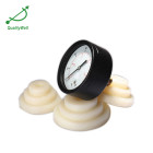 Back connection general pressure gauge EPG200H