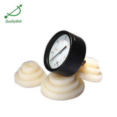 Back connection general pressure gauge EPG200H