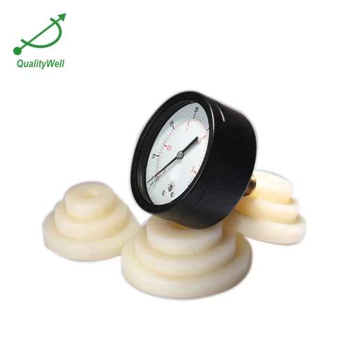 Back connection general pressure gauge EPG200H