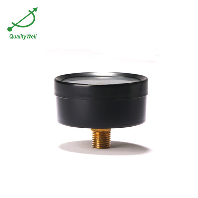 Back connection general pressure gauge EPG200H