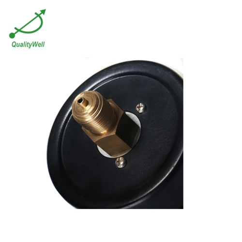 Back connection general pressure gauge EPG200H