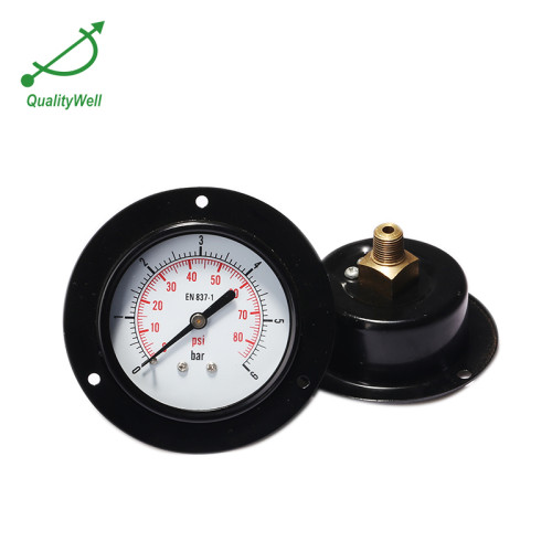 Front flange mounted general pressure gauge EPG221DHF