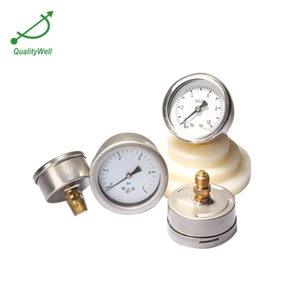 All stainless steel low pressure gauge LPG221H