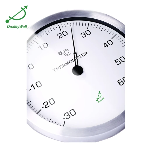 Wall mounted thermometer W12