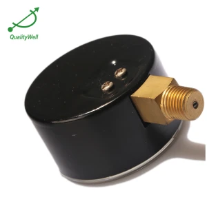 Bottom connection general pressure gauge EPG221V