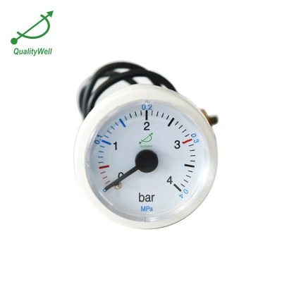 Remote reading pressure gauge RPG40