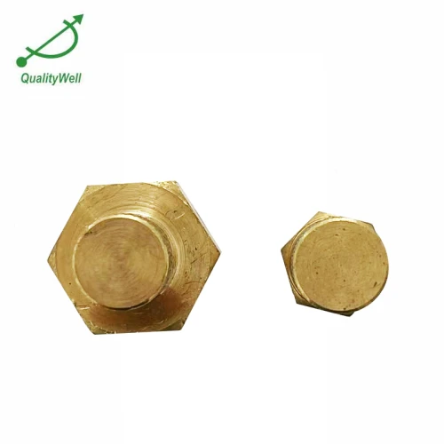 Brass Test Plugs