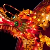 Welcoming the 2024 Chinese New Year of the Wood Dragon!
